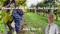 Jesus is the vine